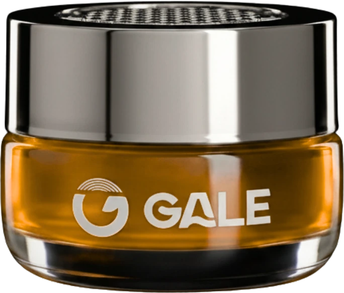 GALE DUDE