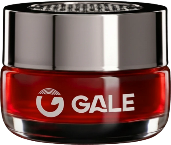 GALE DUDE
