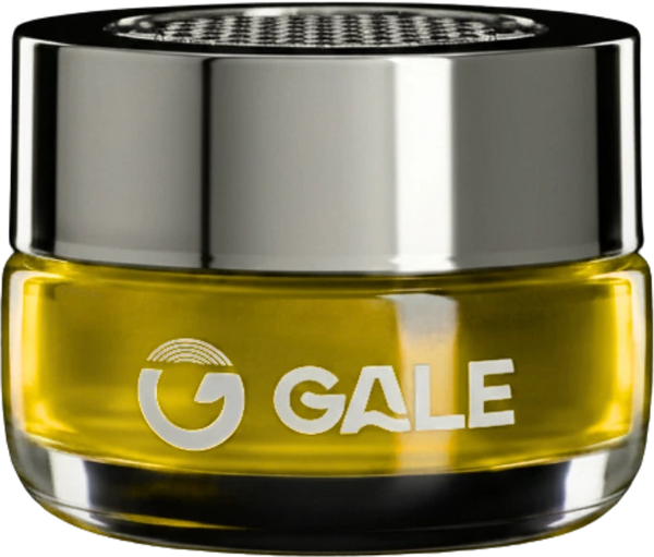 GALE DUDE
