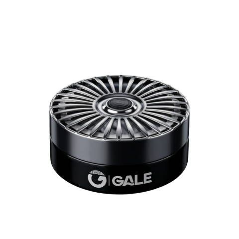 GALE CONQUEST